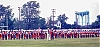 1969_batavia_sheet_60_04-edit.jpg