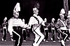 1962_falconer_t096_13_v2a.jpg