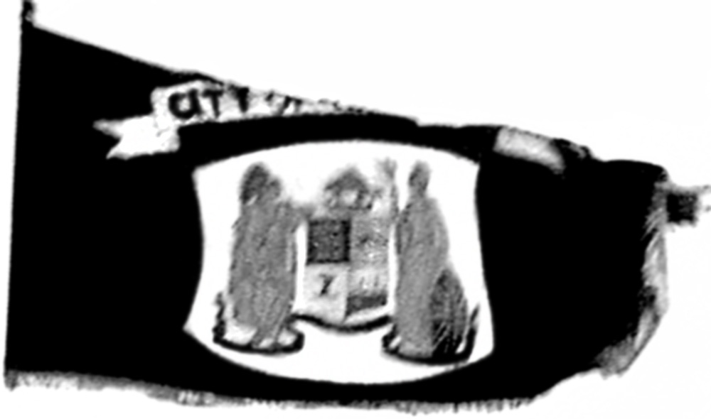 Optimists' City of Toronto flag